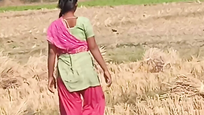 Desi Meisjes Worden Ondeugend Met Grote Borsten