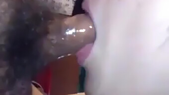 Blowjob An...