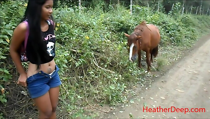 Pisse En Hd À Côté D'Un Cheval Dans La Jungle