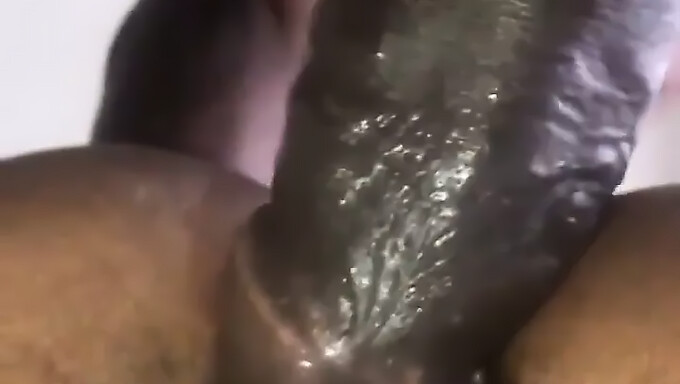 Amateur Jamaican'S Creampie Porn Experience